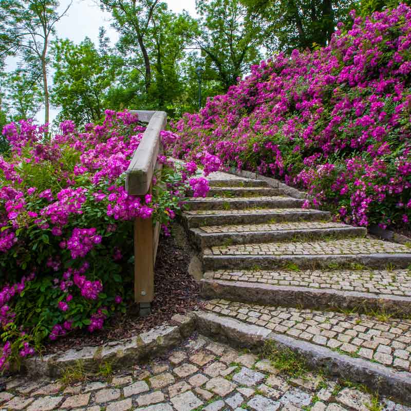 Ansprechende Gartengestaltung durch Fachfirma aus Rain im Landkreis Straubing-Bogen